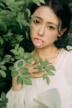 楚尘和宋三小姐免费阅读