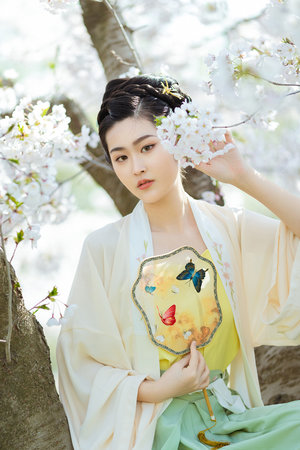 情感的禁区mv视频