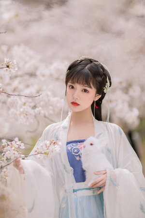 四虎影视1304t在线