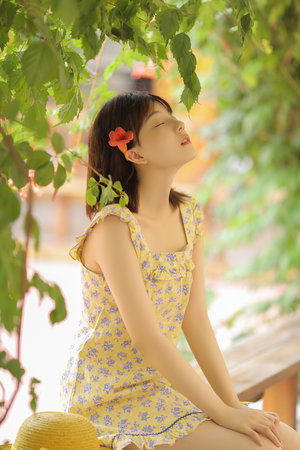 哈利middot奎因与小丑