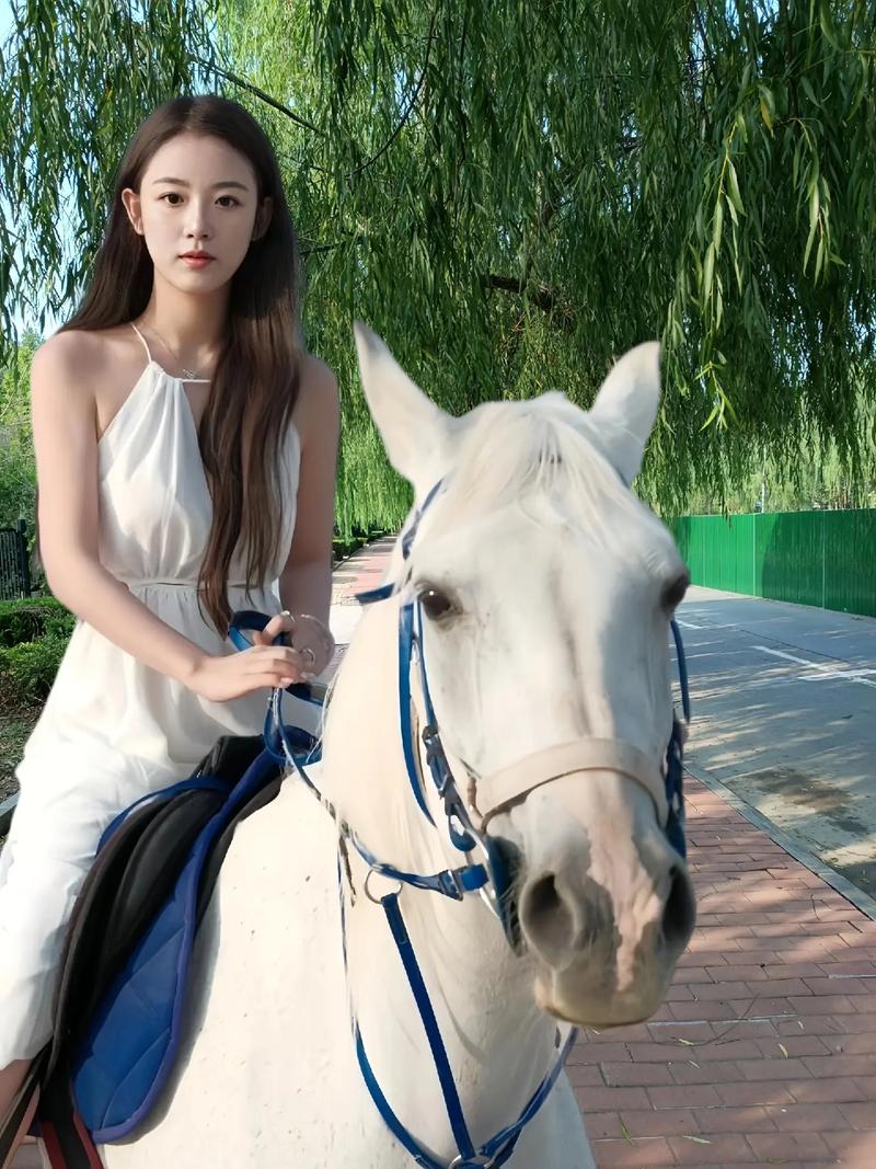 天天操夜夜操app