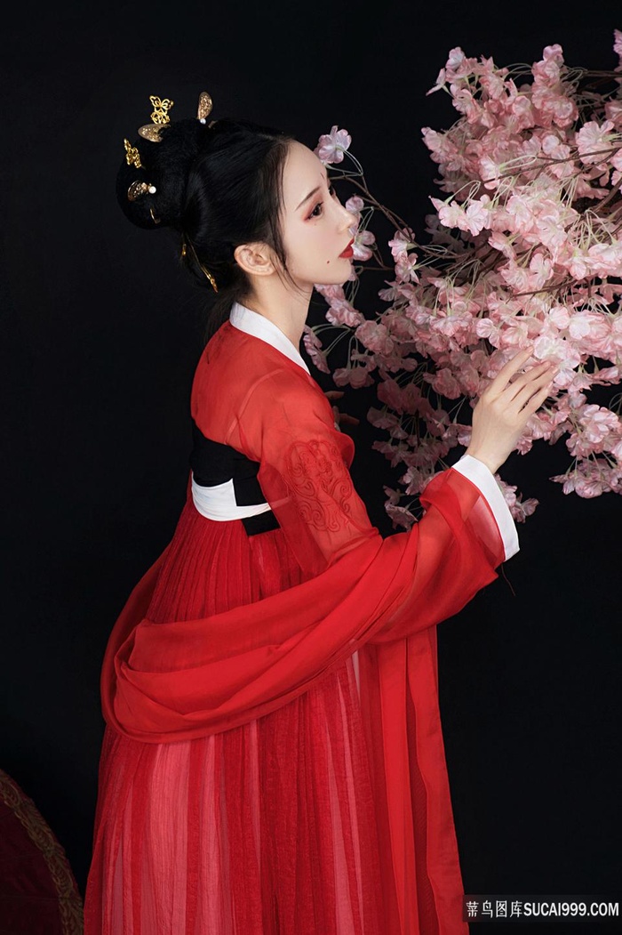 女人的战争剧情介绍