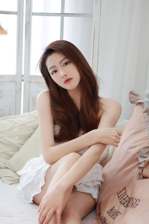 凤凰传说演员表