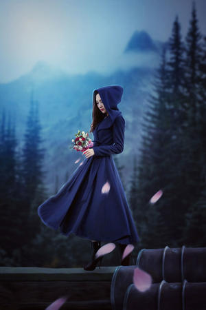 韩国a∨高清砖码区免费